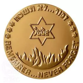 מדליה ממלכתית, מדליה כללית לזכר קורבנות השואה, ארד טומבק, 70.0 מ"מ, 17 גרם - צד הנושא