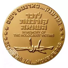 מדליה כללית לזכר קורבנות השואה - ארד טומבק, 70.0 מ"מ, 140 גרם