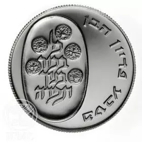 מטבע זיכרון, פדיון הבן תשל"ד, 1974, כסף קשוט, 37 מ"מ, 26 גרם - צד הנושא