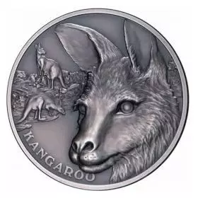 קנגרו - מטבע כסף טהור 1 אונקיה גימור עתיק 2021