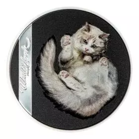 חתול דרך זכוכית - מטבע כסף 1 אונקיה 2024