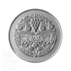 מדליה ממלכתית, לידת בת, כסף 935, 34.0 מ"מ, 17 גרם - גב המטבע
