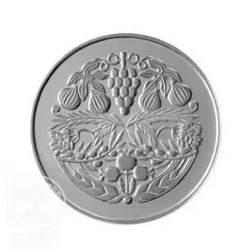 מדליה ממלכתית, לידת בן, כסף 935, 34.0 מ"מ, 17 גרם - גב המטבע