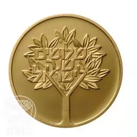 מטבע זיכרון, אחדות העם וארצו, זהב קשוט, 25 מ"מ, 12 גרם - צד הנושא