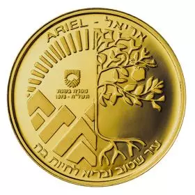 אריאל, ערים בישראל - מדלית זהב/585 קשוט, 30.5 מ"מ, 17 גרם