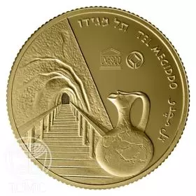 מטבע זיכרון, תל מגידו, זהב קשוט, 30 מ"מ, 16.96 גרם - צד הנושא