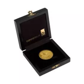  כלולות, יוסל ברגנר - מדלית זהב בהנפקה פרטית