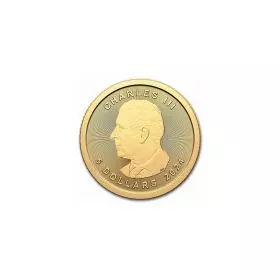 עלה מייפל, קנדה - מטבע זהב 1/10 אונקיה 2024