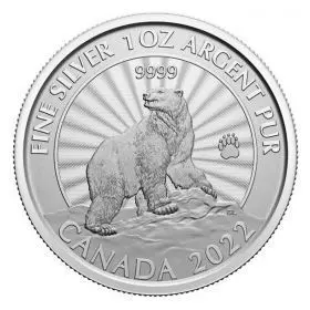 מטבע כסף דוב קוטב, 1 אונקיה, 2022