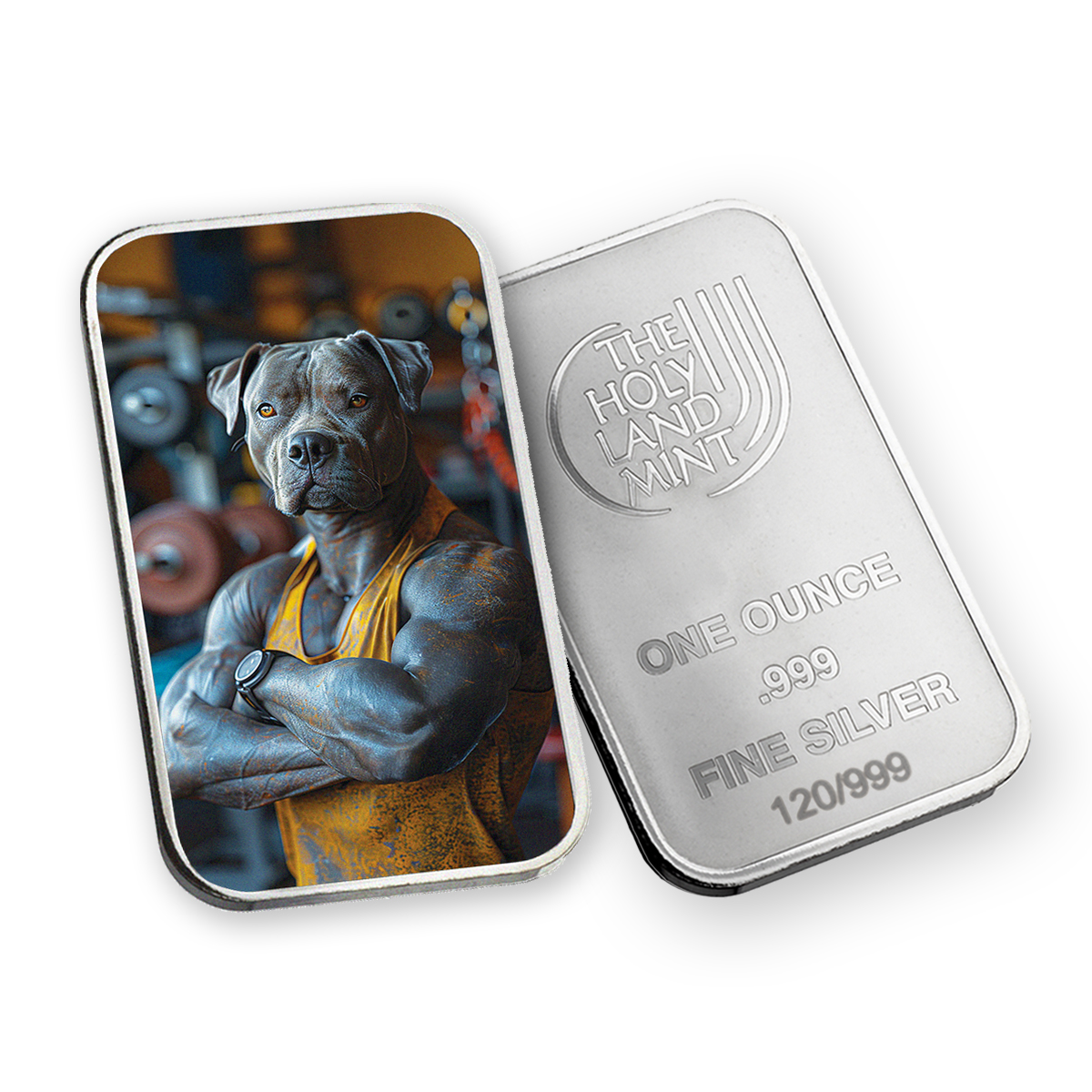 פול - Human Dogs - מטיל כסף בצבע 1 אונקיה במהדורה מוגבלת