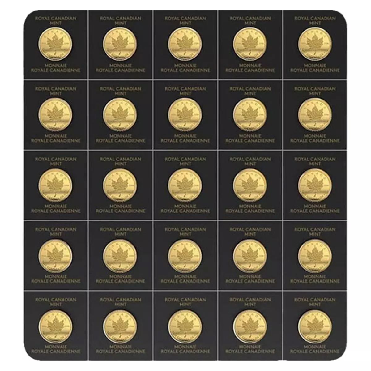 1x25 גרם מטבע זהב - עלה מייפל 2023