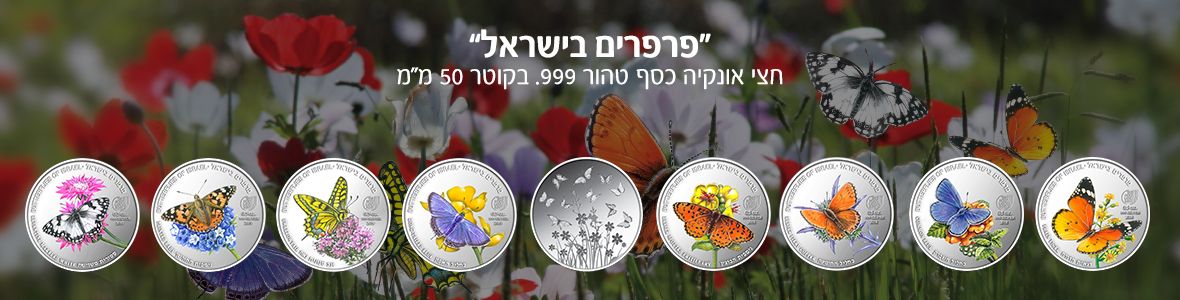 פרפרים בישראל